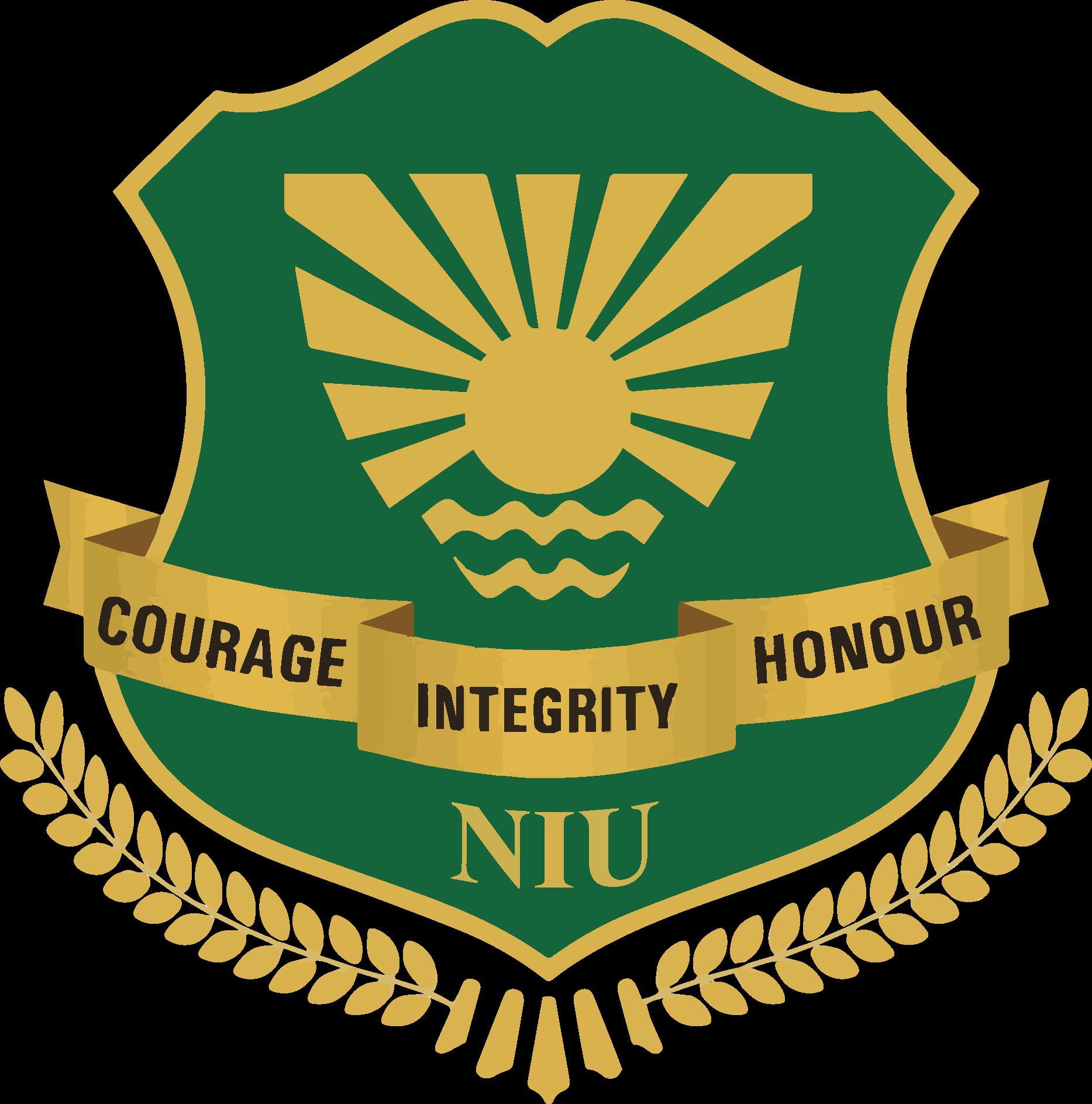 Noida International University